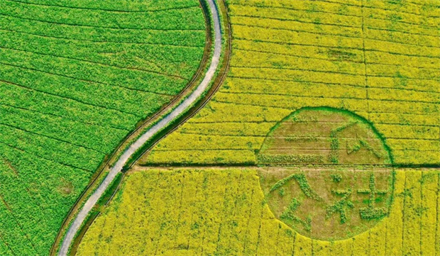 首页 | J9集团有限公司官网