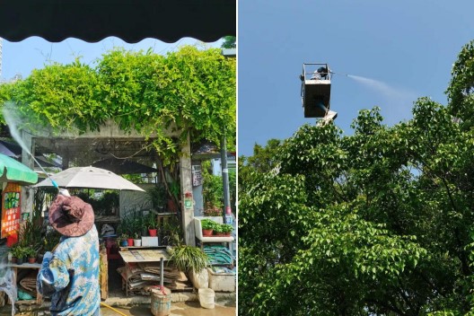 首页 | J9集团有限公司官网