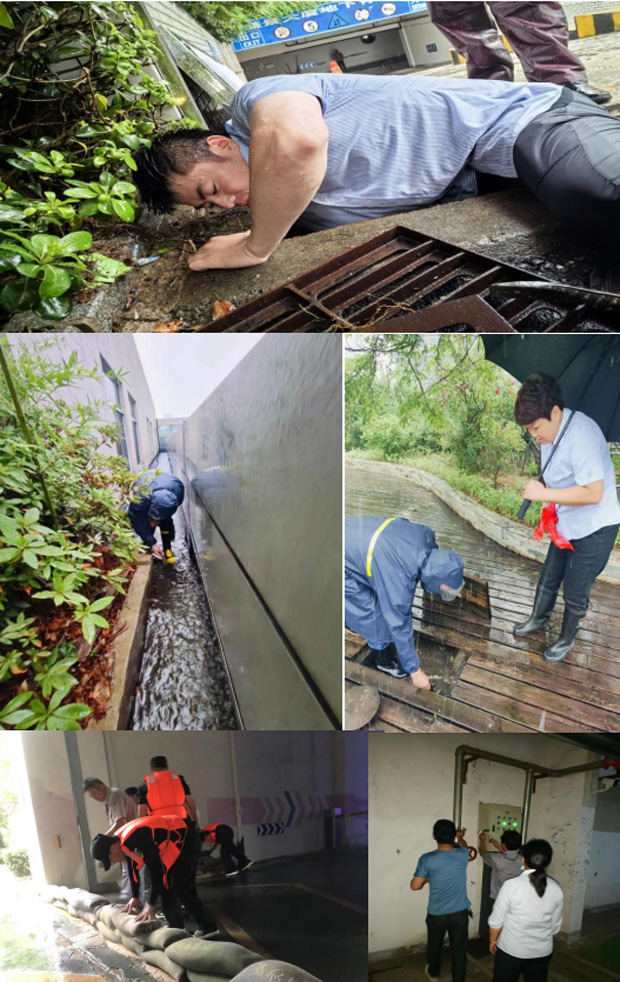 首页 | J9集团有限公司官网