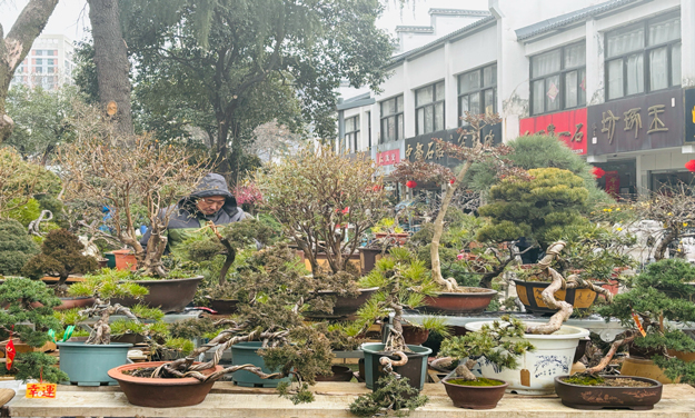 首页 | J9集团有限公司官网